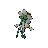 Dark Floette (White)